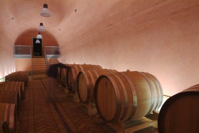 Cantina barriquerie vini carso val rosandra