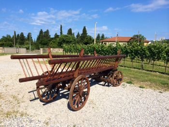 Cantine aperte trieste Parovel