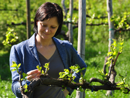 Elena Parovel Vini Trieste