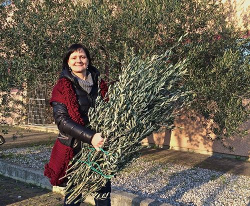 Elena Parovel oliveti Le Palme festivit Trieste