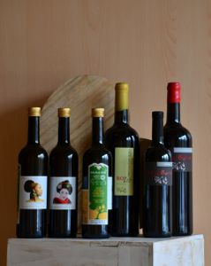 Gruppo OlioVino 2014 1