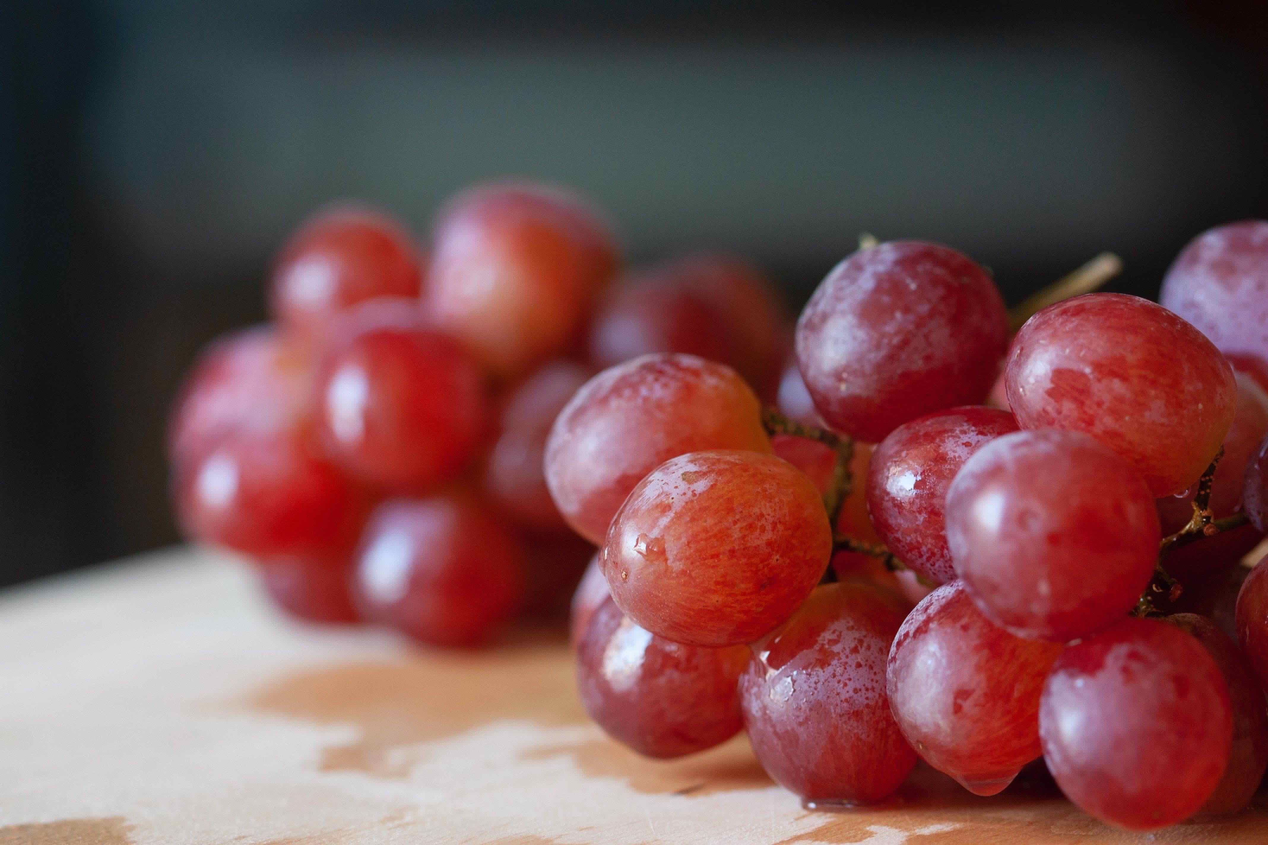 Uva vino rose trieste