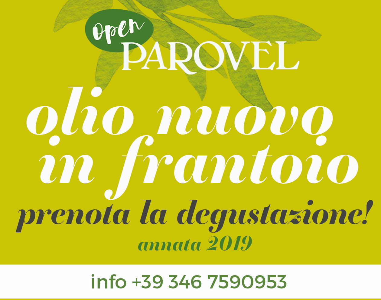 olio EVO nuovo 2019 trieste parovel